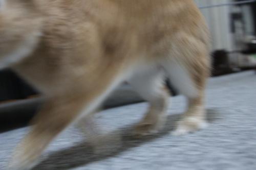 IMG_6331_convert_20130522085526.jpg