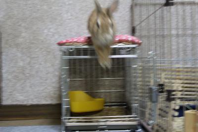 IMG_6377_convert_20130526091340.jpg