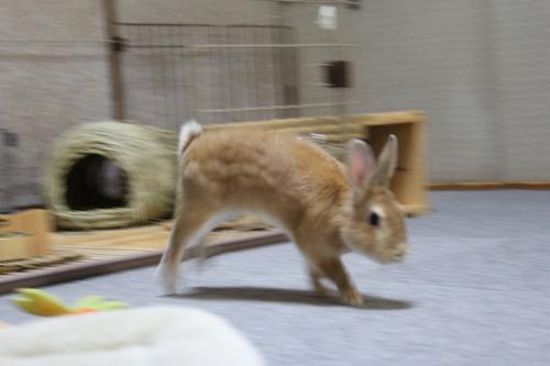 IMG_6623_convert_20130612084415.jpg
