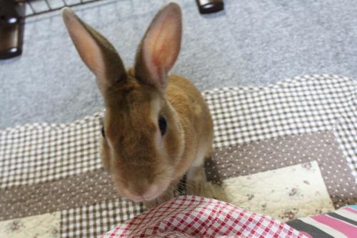 IMG_6630_convert_20130612084629.jpg