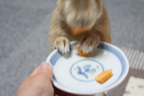 IMG_6661_convert_20130615091747.jpg