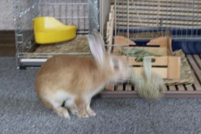 IMG_6738_convert_20130625173920.jpg