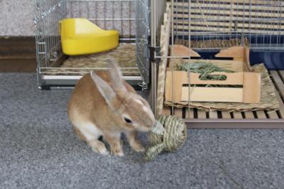 IMG_6739_convert_20130625173942.jpg