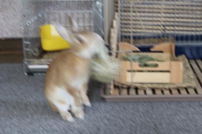 IMG_6740_convert_20130625174001.jpg