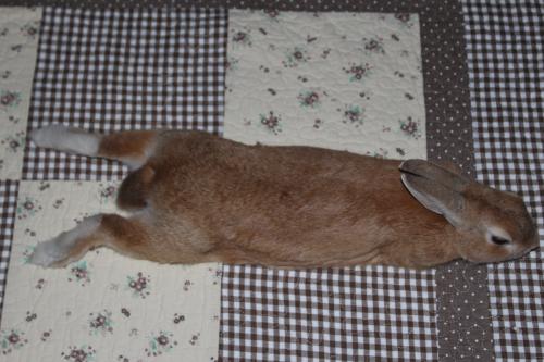 IMG_7169_convert_20130715072333.jpg