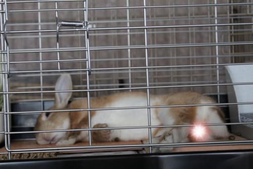 IMG_7276_convert_20130722072222.jpg