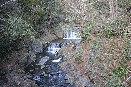 201203高尾山 (124)