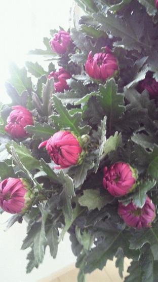 201302021055001.jpg