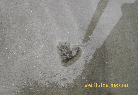 CIMG4392.jpg