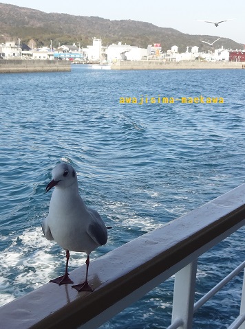DSC00087.jpg
