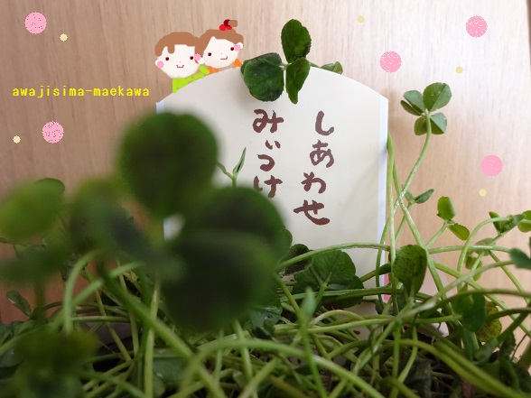 DSC00786.jpg
