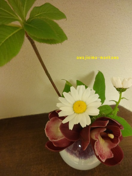 DSC01443.jpg