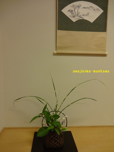 DSC01835.jpg
