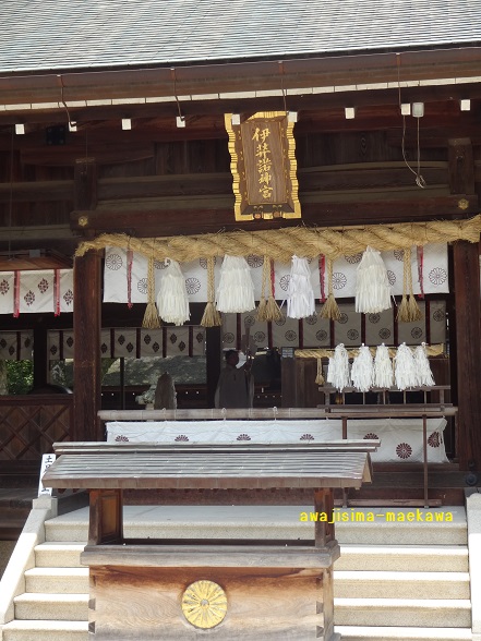 DSC02103.jpg