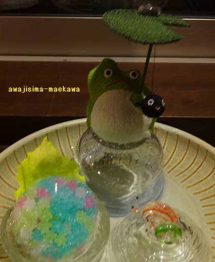 DSC02256.jpg