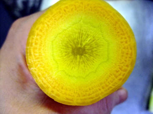 黄色