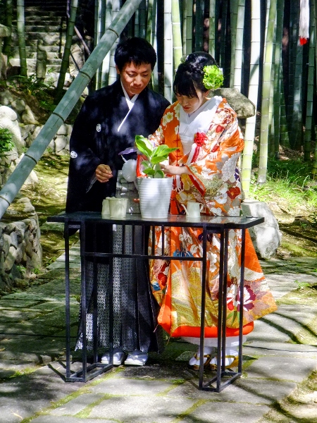 植樹