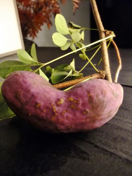 あけび