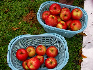 2007.10.08-09.52.23.jpg