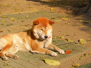 2007.12.04-11.19.16.jpg