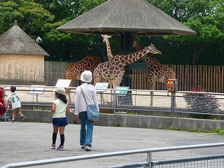 2008.06.15-11.32.56.jpg
