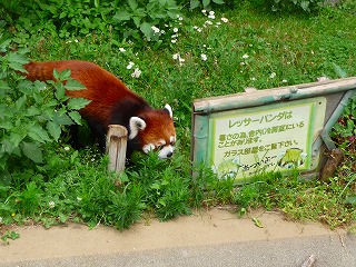 2008.06.15-10.34.40.jpg