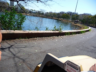2009.03.15-11.37.02.jpg