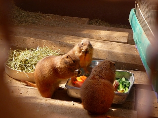 2009.03.30-10.29.18.jpg