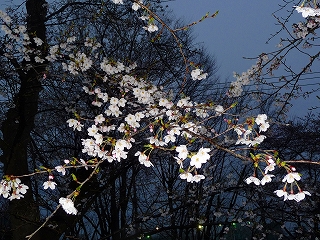 2009.04.04-18.00.26.jpg