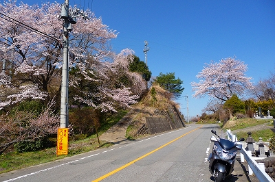 2009.04.09-09.43.47.jpg
