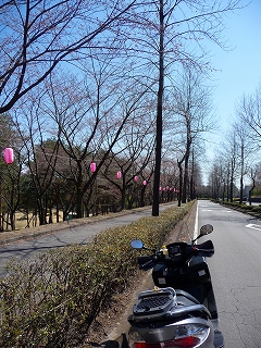 2009.04.09-10.58.35.jpg