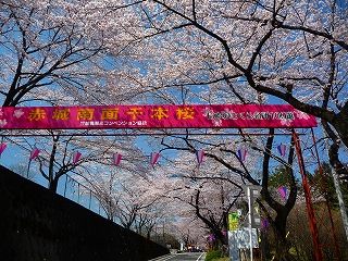 2009.04.09-12.50.35.jpg