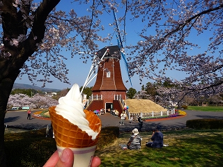 2009.04.09-15.35.18.jpg