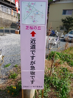 2009.04.18-15.33.56.jpg