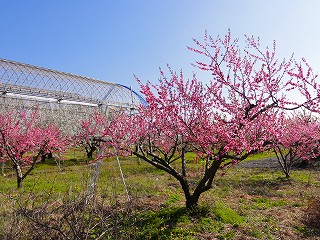 2010.04.10-08.36.39.jpg