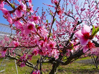 2010.04.10-08.36.55.jpg
