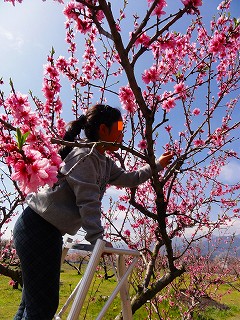 2010.04.10-10.05.48.jpg