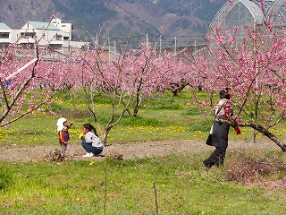 2010.04.10-09.19.09.jpg