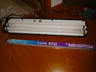 2010.04.22-14.09.25.jpg