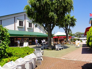 DSC01556.jpg