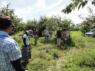 2010.07.18-09.30.54.jpg