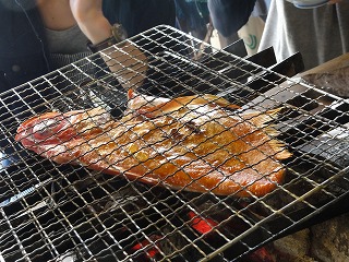 2010.11.27-13.25.35.jpg