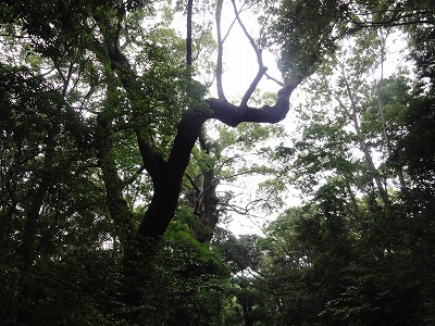 2011.06.05-10.35.59.jpg