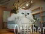 2011年カレンダー白