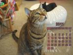 2011年カレンダーテラ