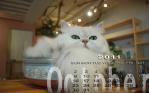 2011年カレンダー白w