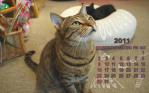 2011年カレンダーテラw