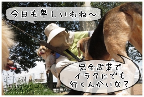 ビーグルを撫でる覆面のおばさん