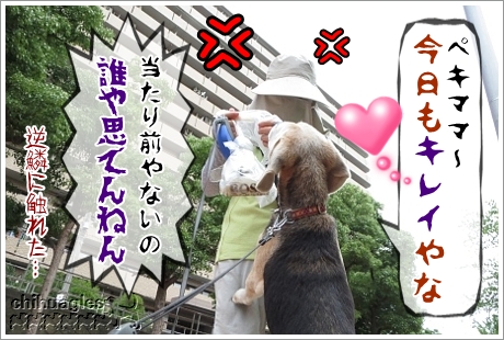 ビーグルを撫でる覆面のおばさん