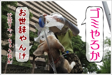 ビーグルを撫でる覆面のおばさ